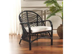 Accent Chair W/ Cushion